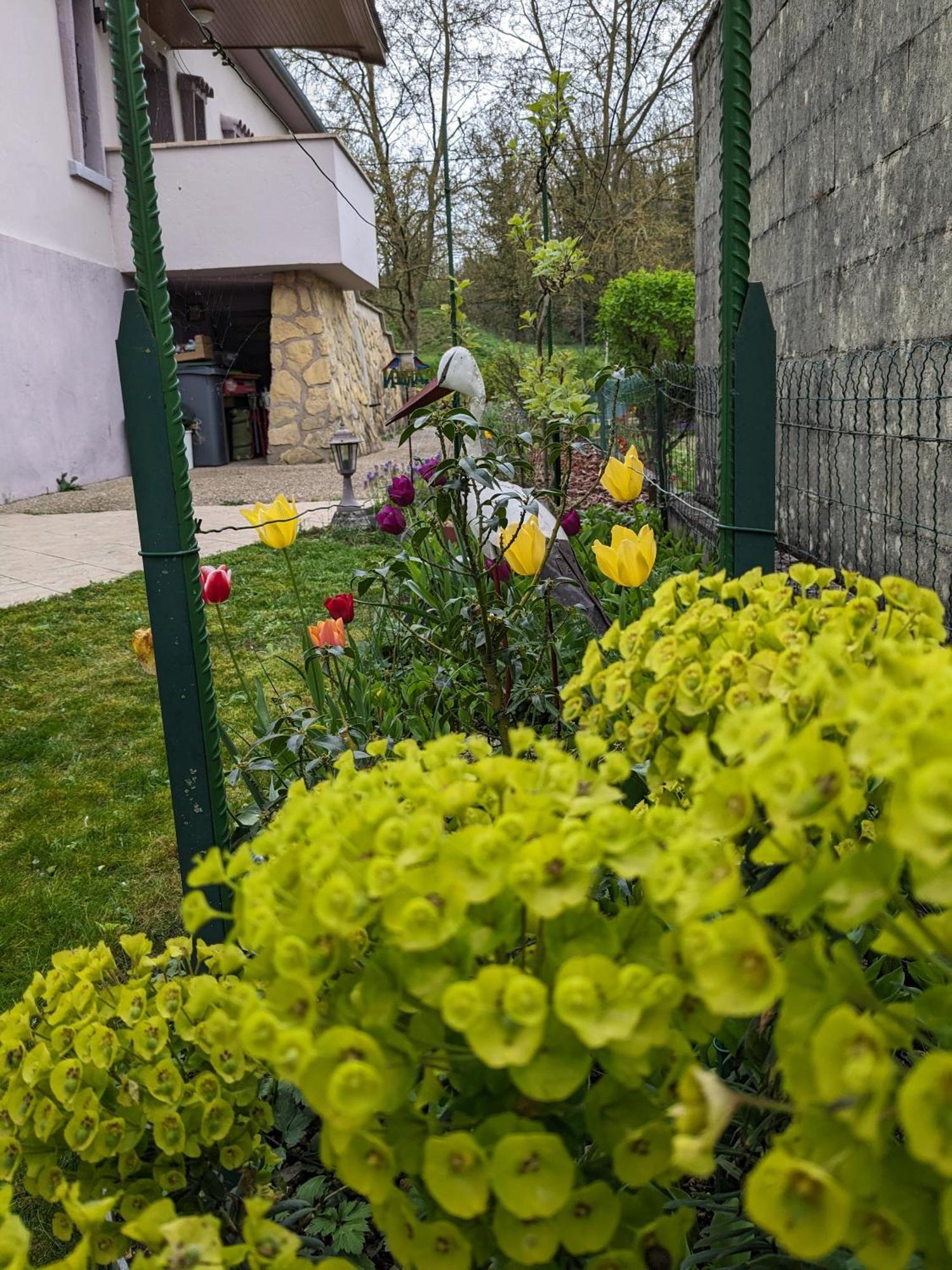 Villa Chantal Verdun-sur-Meuse ภายนอก รูปภาพ